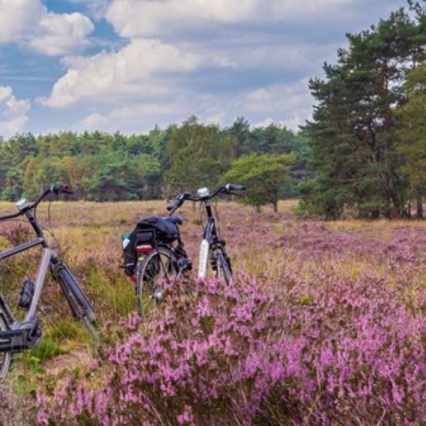 Lease a Bike en de Fietsersbond: meer Nederlanders op de fiets naar het werk 